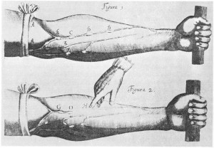 DeMotuCordis