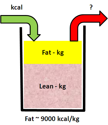 Energy_Weight_Model
