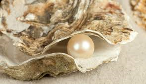 Pearl_and_Oyster